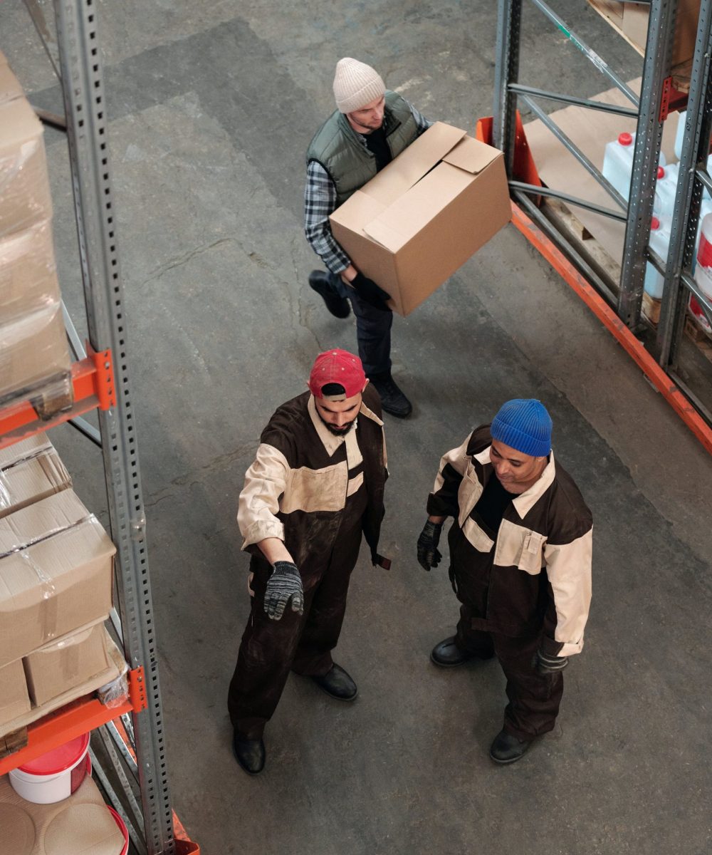 pexels-tiger-lily-4480797